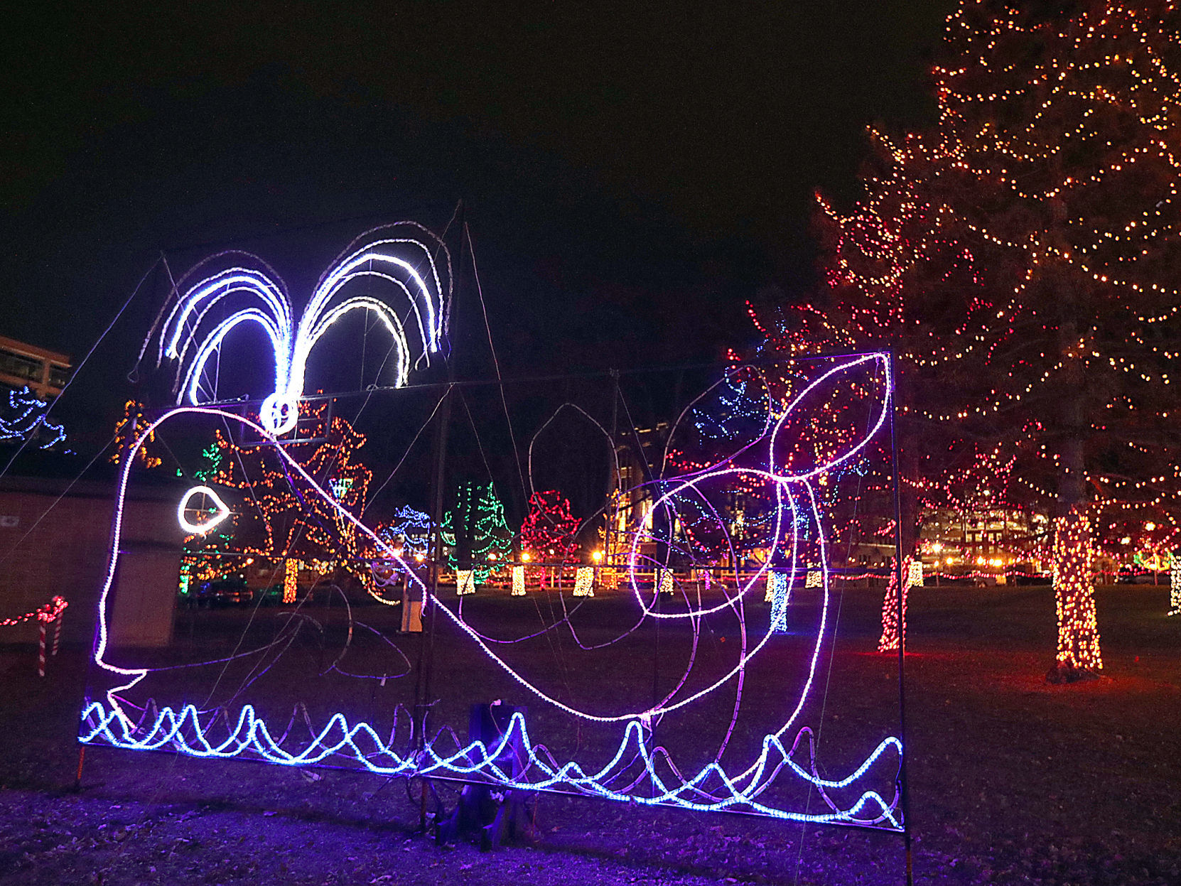 Rotary Lights